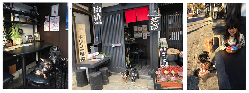 店舗情報
